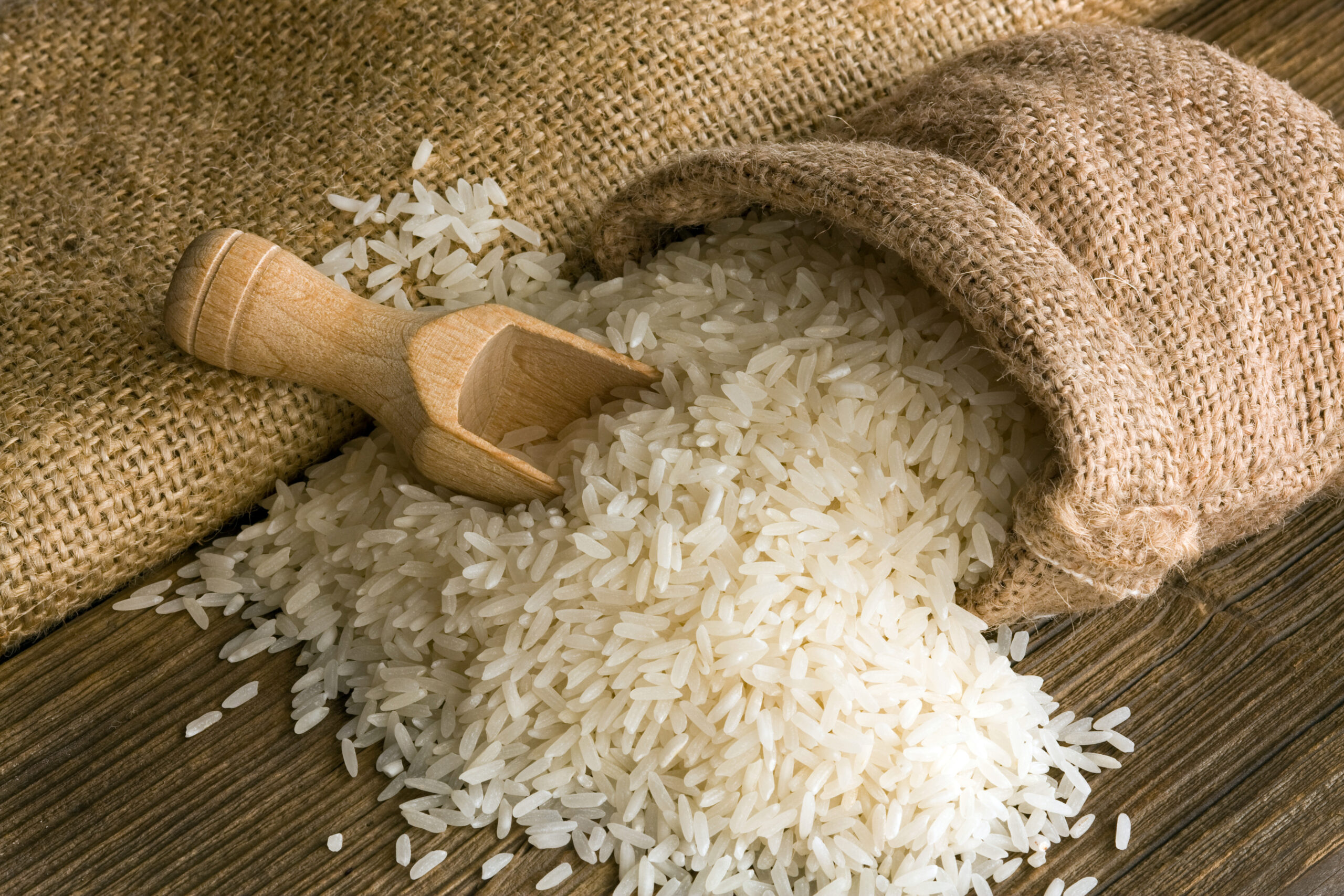 Rice grains for export sourcing
